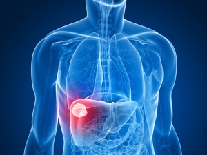 sonde échographique transoesophagienne