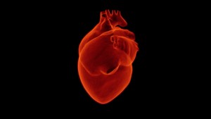 sonde echographique transoesophagienne